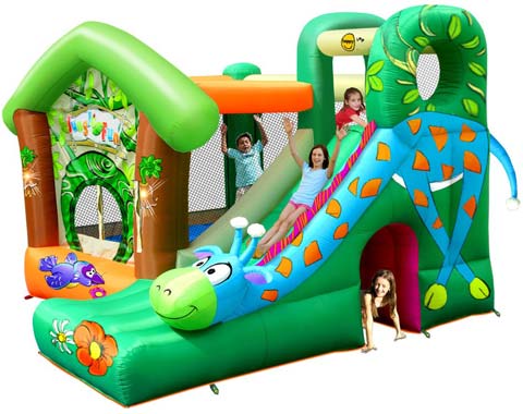 bouncy castle with water slide for sale