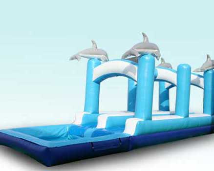 Beautiful Inflatable Slip and Slide With Dolphin Theme